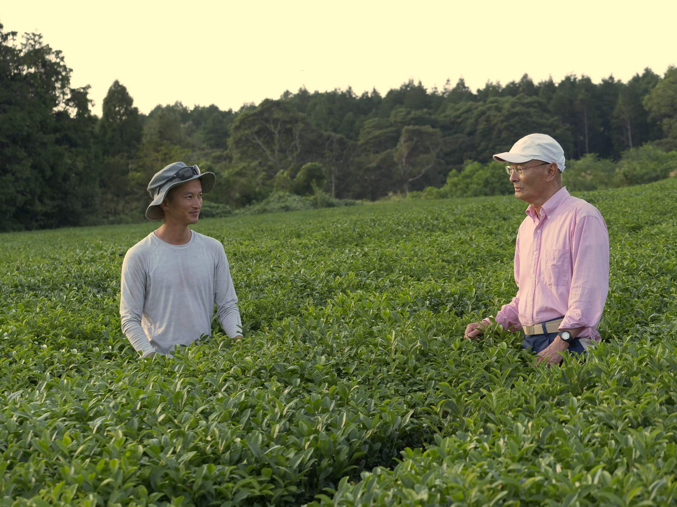 Familie Hayashi